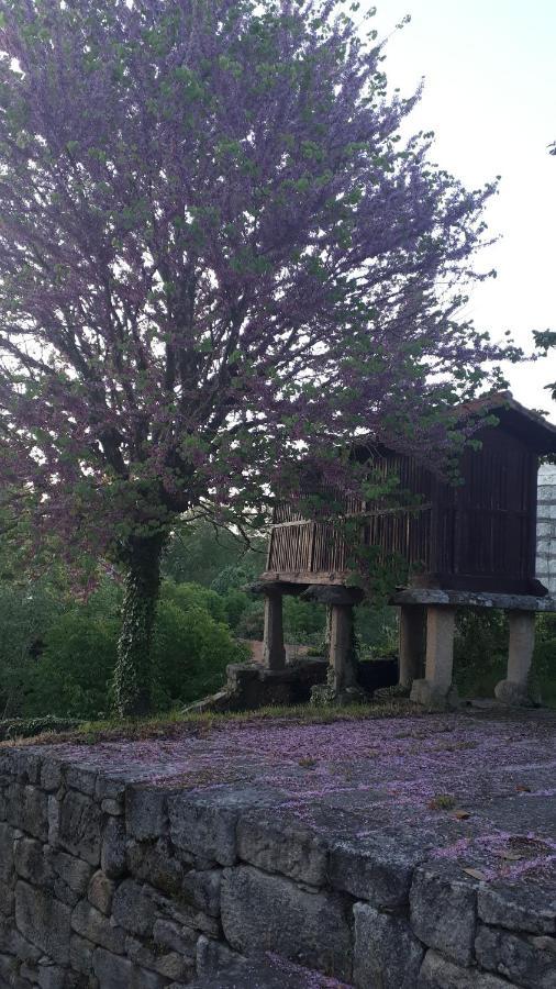 Casa Rural Torre Lombarda Allariz Bagian luar foto